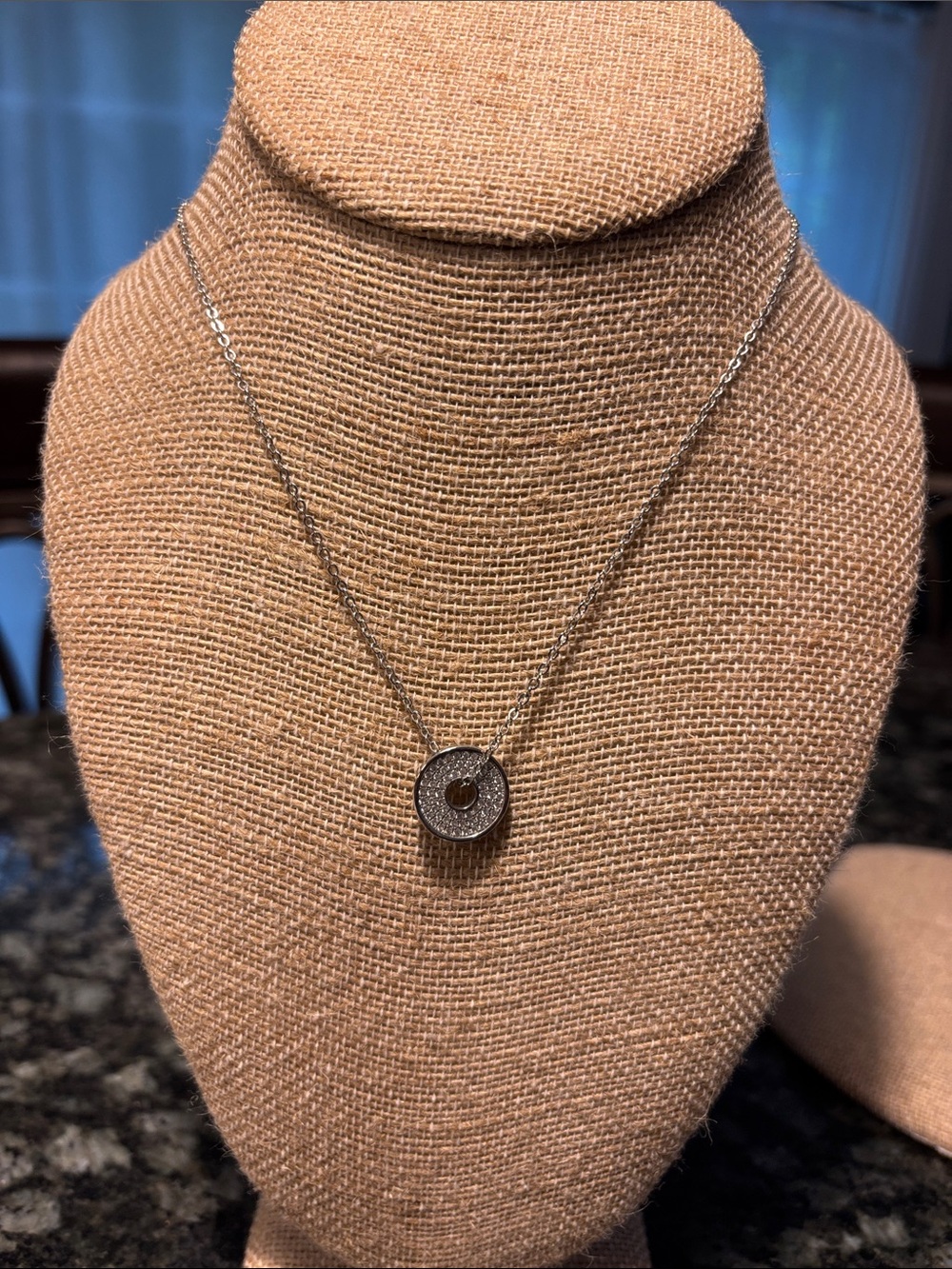 Dainty Park Lane “Sutton” Silver Pavé Circle Pendant Necklace
